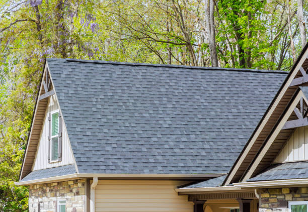 Best Asphalt Shingle Roofing  in Sleepy Eye, MN