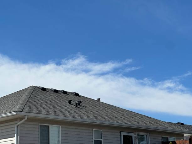 Best Roof Coating and Sealing  in Sleepy Eye, MN