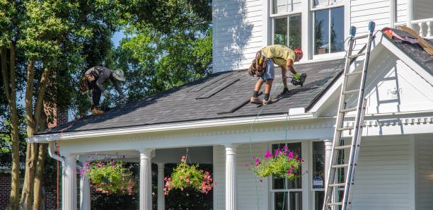 Best Chimney Flashing Repair  in Sleepy Eye, MN